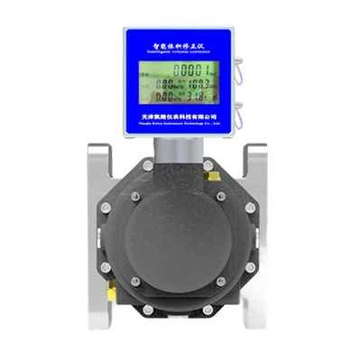 DN25微小型羅茨流量計